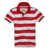 Polo Hollister