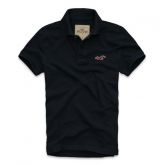 Polo Hollister
